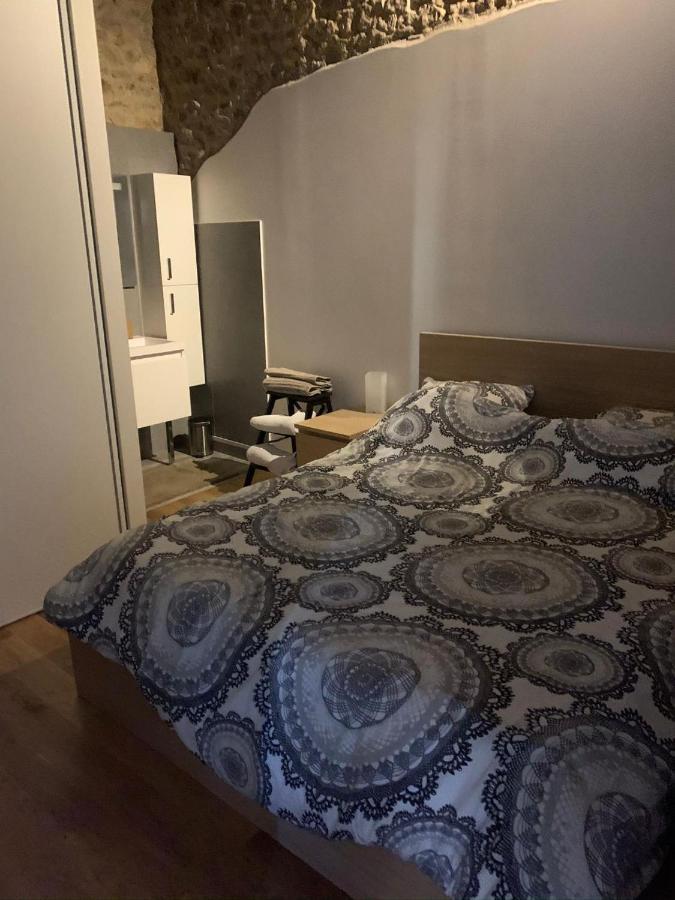 Coeur Vieux Lyon, 60 M2 Lumineux Tout Confort Esterno foto