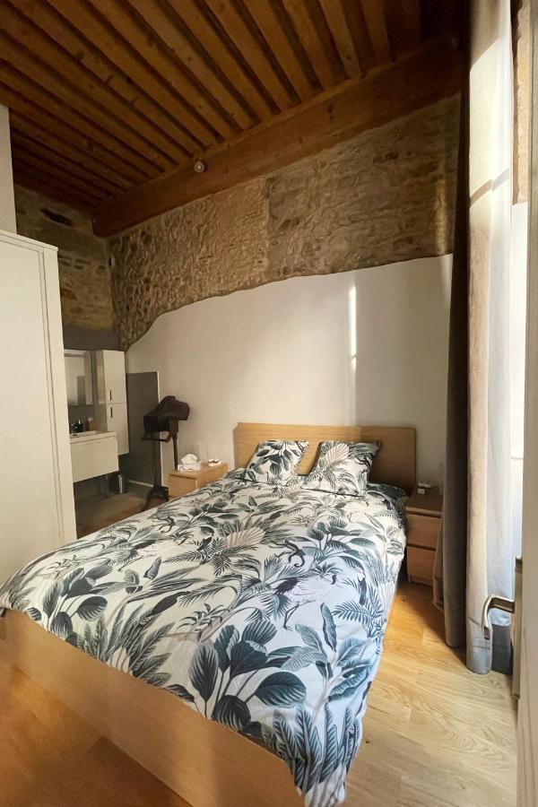 Coeur Vieux Lyon, 60 M2 Lumineux Tout Confort Esterno foto